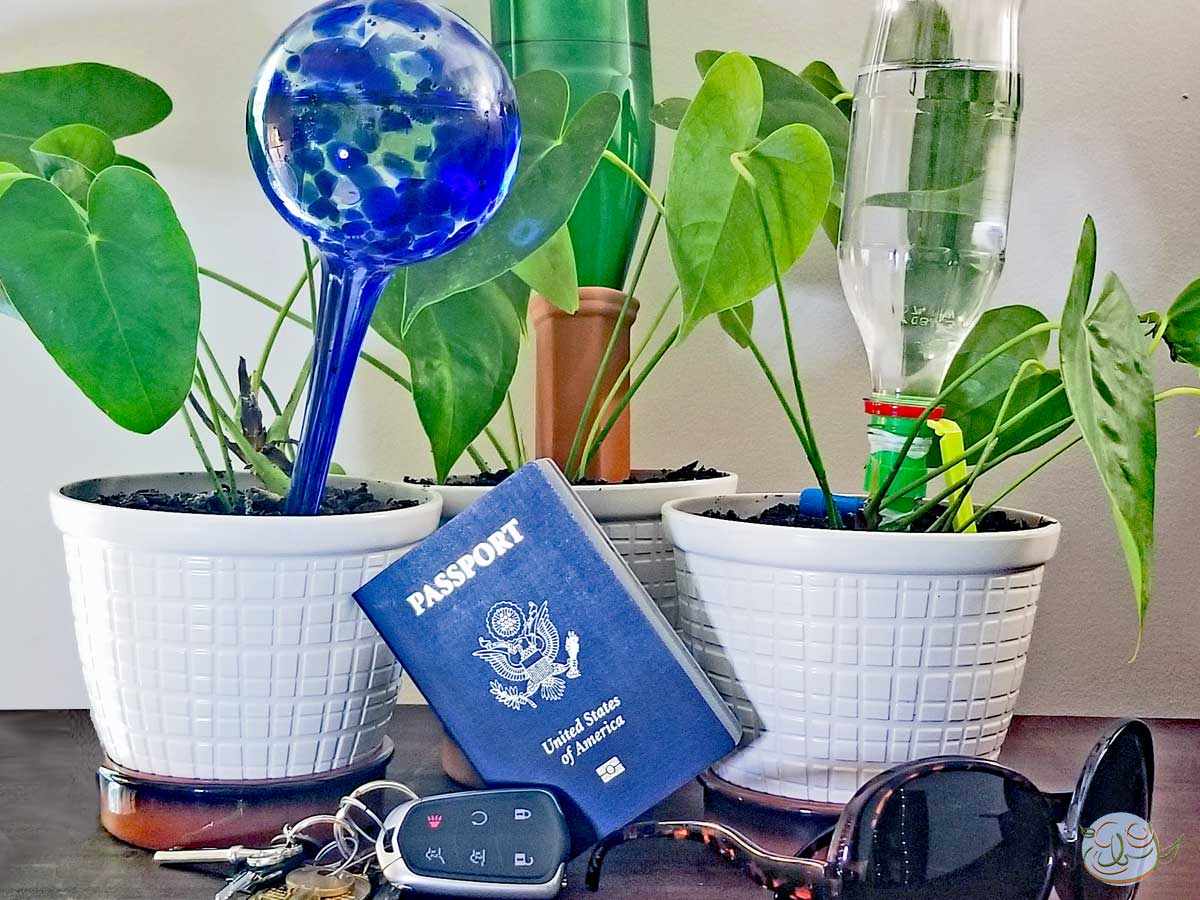 Three methods of self watering plants while away on vacation: A glass bulb, a terracotta bottle spike, and a plastic bottle DIY watering system. In front of the plants, a passport, car keys, and sunglasses. - EastbornGardens.com