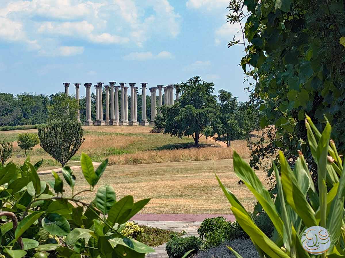 Site Visit: National Herb Garden at the U.S. National Arboretum