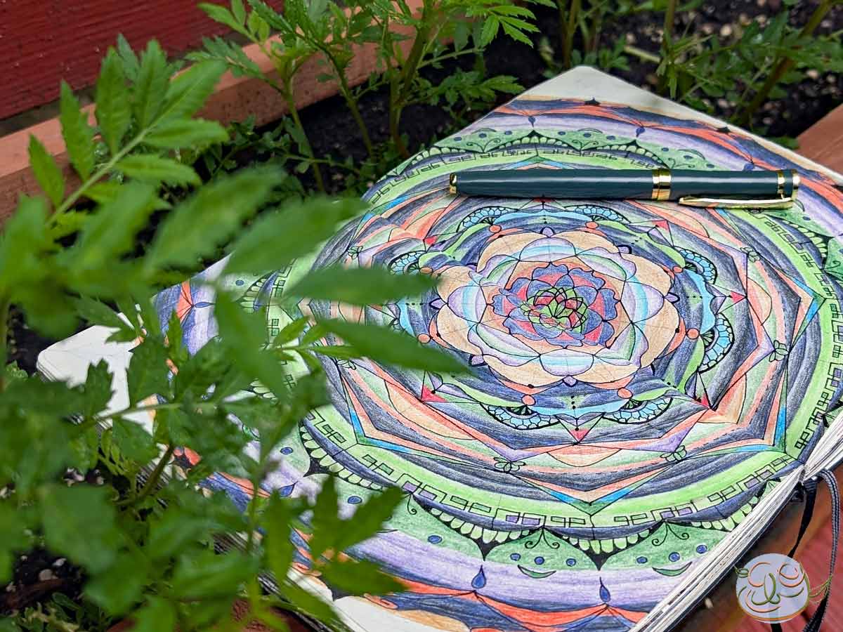 Meditative Gardening: How Tending to Plants Can Be A Tool for Personal Development and Growth